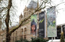 Muzeum Historii Naturalnej w Londynie
