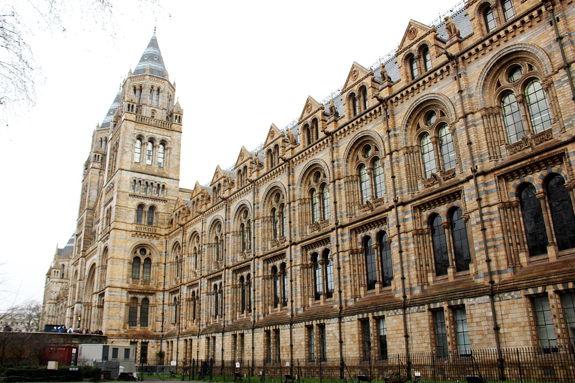 Muzeum Historii Naturalnej w Londynie